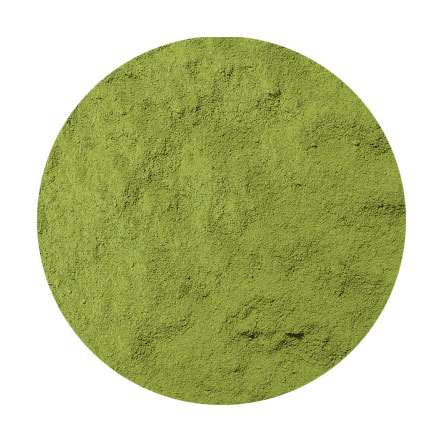 Ujicha Matcha